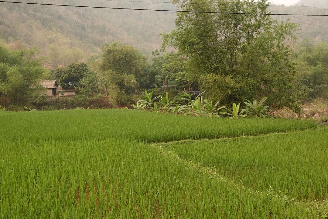 Vietnam Vietnam